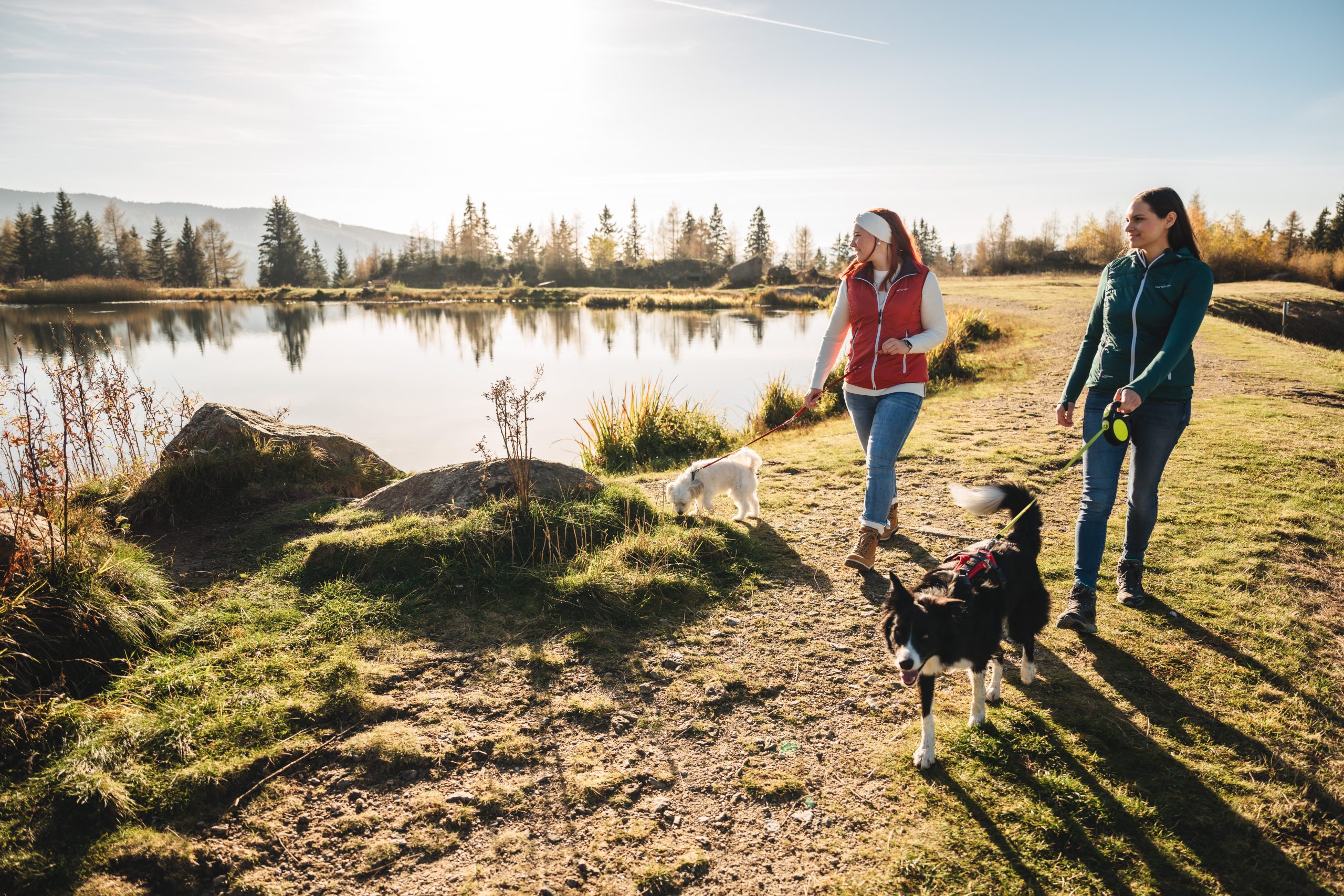 Urlaub mit Hund: Vier Pfoten sind am See herzlich willkommen
